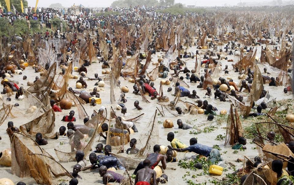 argungu festival